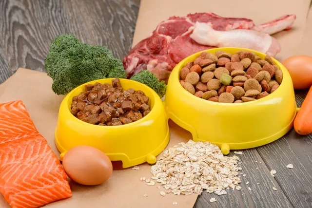 Can I Mix Wet and Dry Cat Food? Vet-Reviewed Benefits & Considerations
