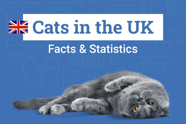 17 UK Cat Statistics & Facts All Cat Lovers Should Know (2026 Update)