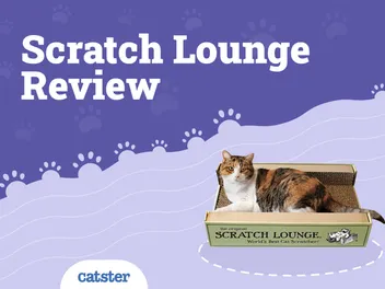 Scratch Lounge Review 2026: Pros, Cons & Verdict