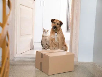 15 Best Pet Affiliate Programs of 2026 - Reviews & Top Picks