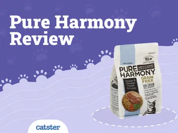 Pure Harmony Cat Food Review in 2026: Recalls, Pros & Cons