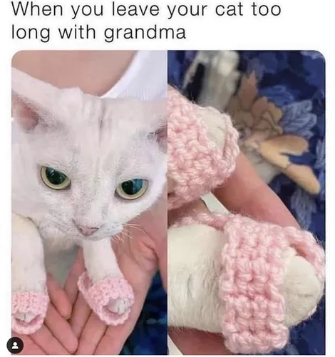 Knittin’ Mittens
