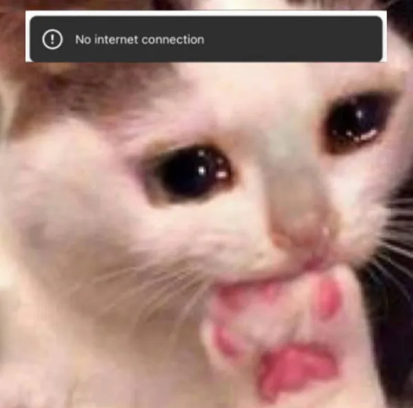 No Internet Kitty
