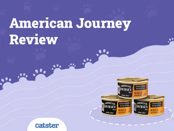 American Journey Cat Food Review in 2026: Recalls, Pros & Cons