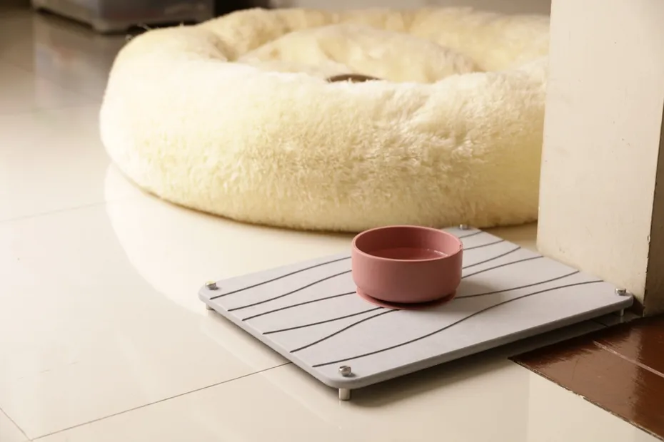cat bowl on a mat