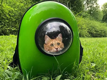 10 Best Cat Carriers in Canada: 2026 Reviews & Top Picks