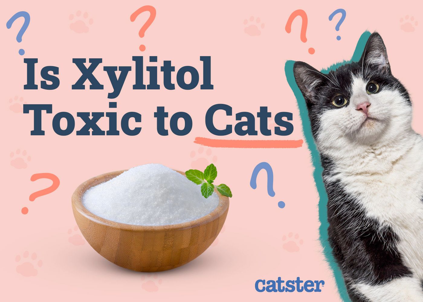 Is Xylitol Toxic To Cats