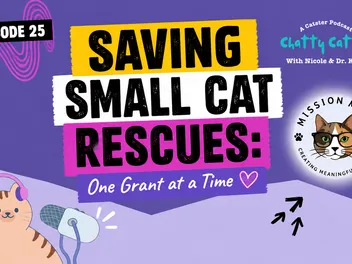 Chatting With Sally About Mission Meow & Helping Cat Rescue Organizations Collaborate | Chatty Cattys, Episode 25