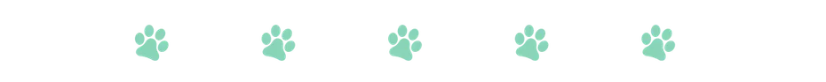 cat paw divider