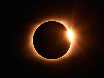 Will the Solar Eclipse Affect Your Cat? Interesting Facts & FAQ