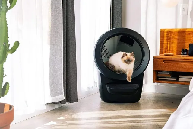 How to Get Your Cat to Use a Litter-Robot: 7 Tips & Tricks