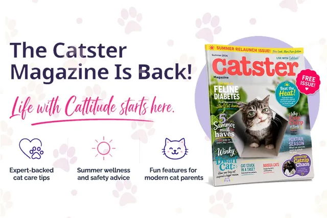 The Catster Magazine is Officially Back!