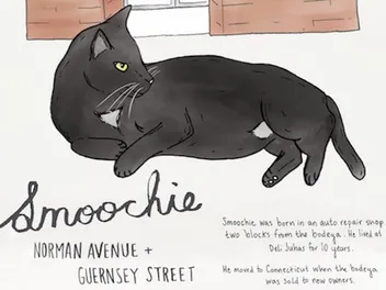 We Chat With Illustrator Sunny Eckerle About Her Bodega Cats