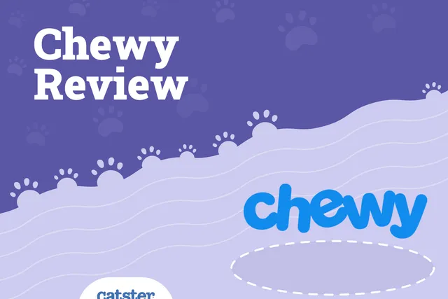 Chewy Review 2026: Pros, Cons & Considerations