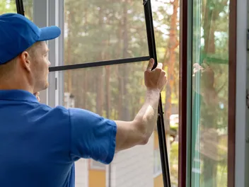 5 Creative DIY Cat Window Guard and Screen Protector Plans (With Pictures)
