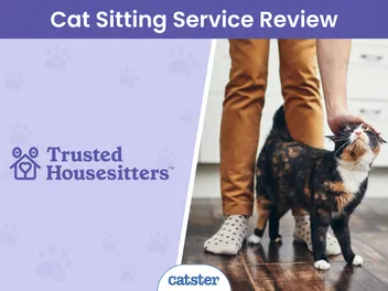 TrustedHousesitters Review 2026: Our Expert’s Opinion