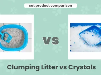 Clumping Litter vs Crystals: Which One Is Better? Our 2026 Comparison