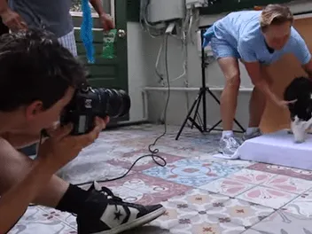 We Interview Henry Hargreaves, Who Photographed the Famous Hemingway Cats