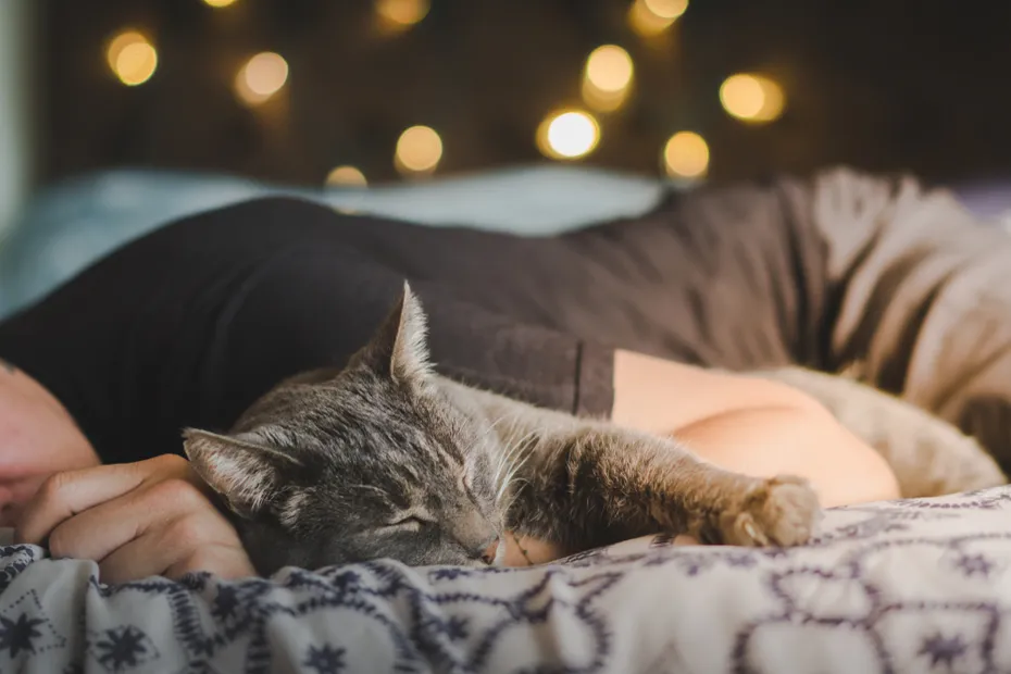 Man owner sleeping with a cat on a bed