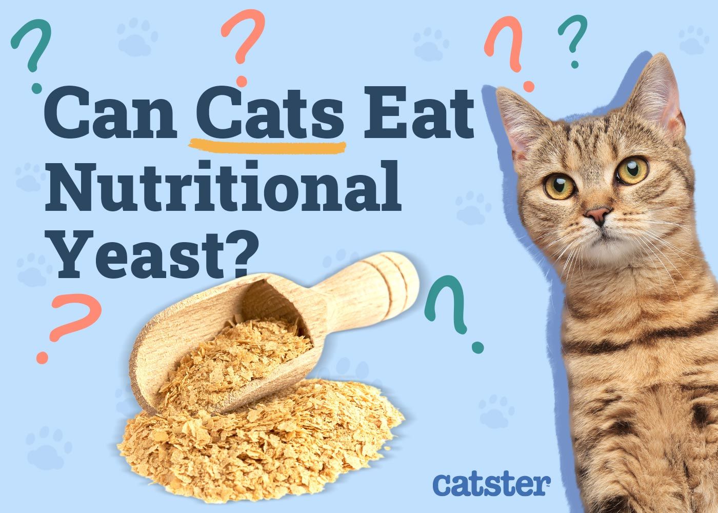Can Cats Eat Nutritional Yeast