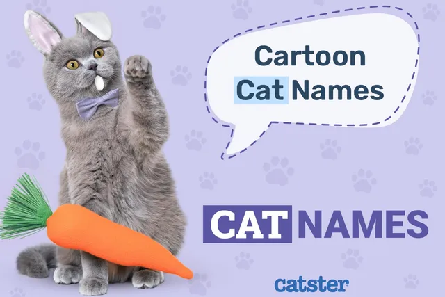 250 Cartoon Cat Names: Ideas for Charismatic & Comical Kitties