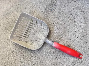 10 Best Cat Litter Scoops of 2026 - Reviews & Top Picks