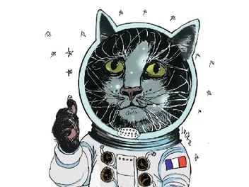 Félicette, The First Cat in Space: Her Story & Contribution to Science