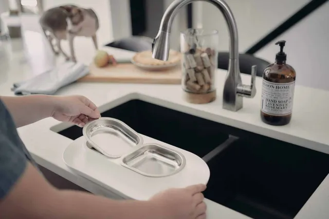 How to Clean a Cat Bowl: 8 Easy Steps & Vet-Reviewed Precautions