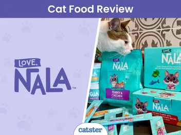 Love, Nala Cat Food Review 2026: A Detailed Look