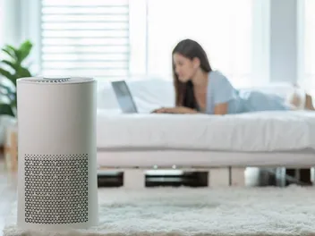 Will an Air Purifier Help With the Smell of Litter? Vet-Approved Facts, Guide & Info