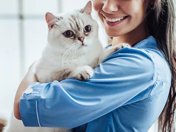 How Often Should You Take Your Cat to the Vet? Vet-Approved Advice