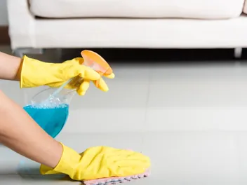 How to Get Rid of Cat Spray Smell: 6 Tips & Home Remedies