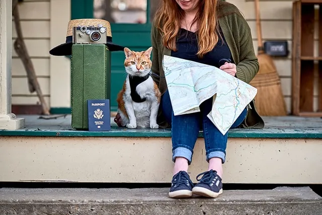 How Much Does a US Pet Passport Cost? (2026 Update)