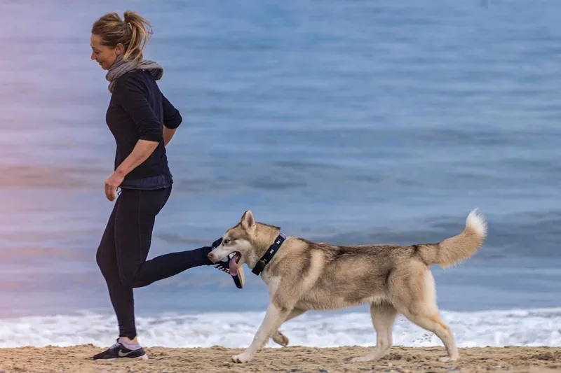 woman and dog on seashore exercise running