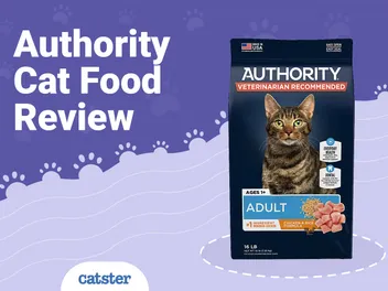 Authority Cat Food Review of 2026: Recalls, Pros & Cons