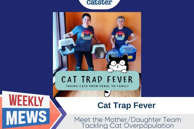 Cat Trap Fever - Meet the Mother/Daughter Team Tackling Cat Overpopulation (with Video)