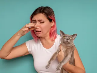 My Cat Smells Like Death: 5 Reasons & What to Do (Vet Answer)