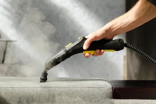Does Steam Cleaning Kill Fleas? Vet-Approved Effectiveness & Safety Explored