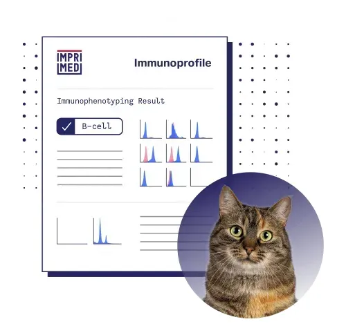 Immunophenotyping result