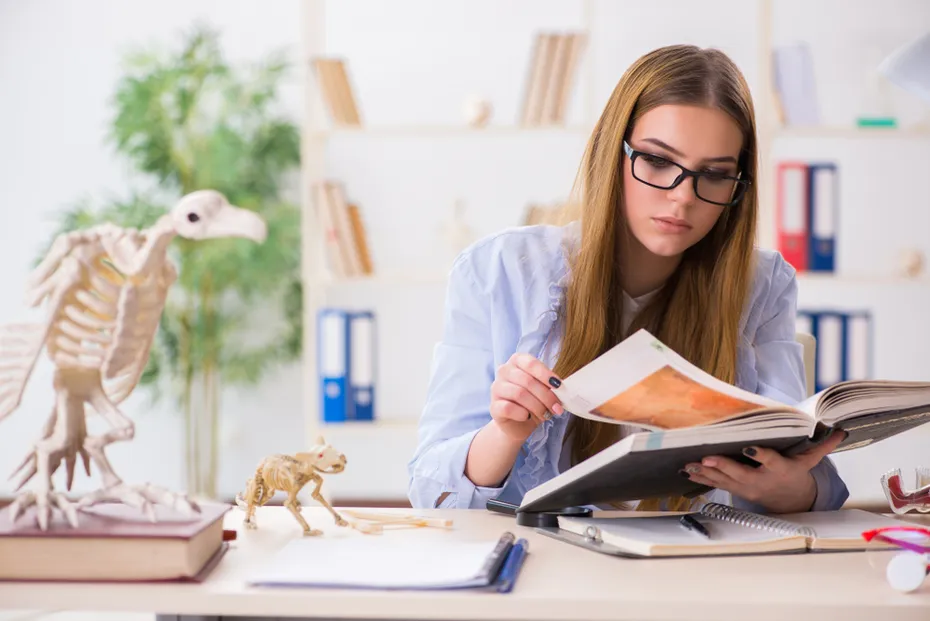 vet student studying