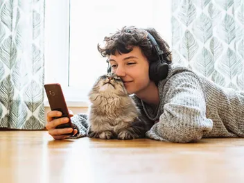 8 Cat Lovers Websites & Social Networks in 2026