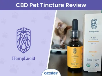 HempLucid Organic Full-Spectrum CBD for Pets Review 2026: My Kitten, Makoa's Experience