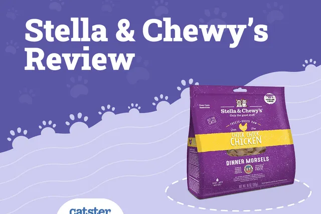 Stella & Chewy’s Cat Food Reviews 2026 : Recalls, Pros & Cons
