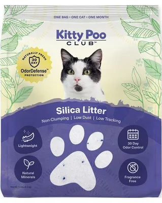 10 Best Eco-Friendly Cat Litter in 2026: Reviews & Top Picks — Catster