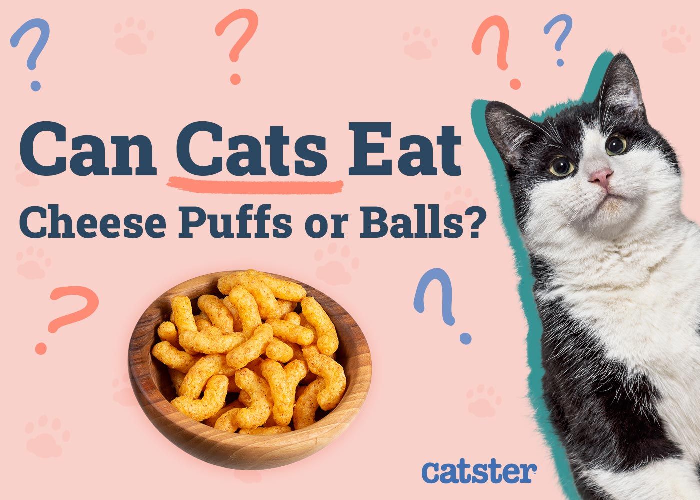 Can Cats Eat Cheese Puffs or Balls