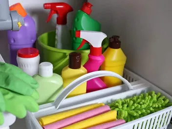 8 Household Items That Are Toxic to Cats (Vet Answer)
