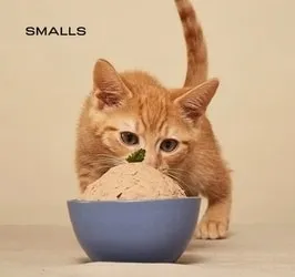 Smalls Fresh Bird Human-Grade Cat Food