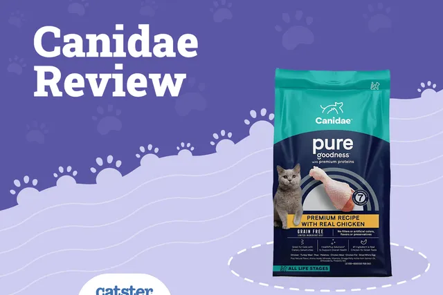 Canidae Cat Food Review of 2026: Recalls, Pros & Cons