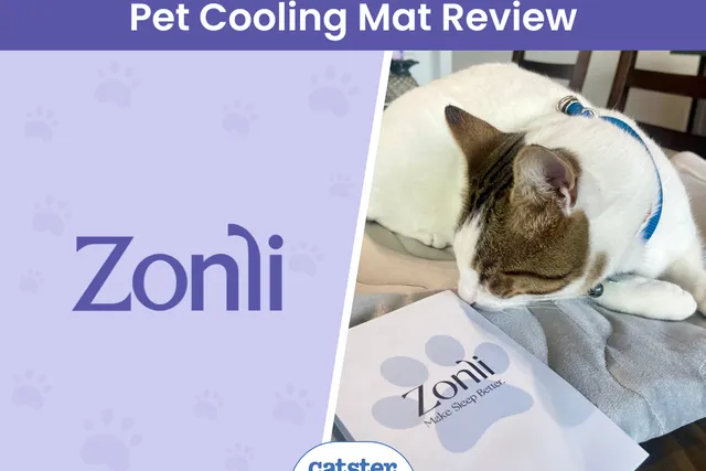 Zonli Pet Cooling Mat Review 2026: A Detailed Look