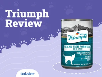 Triumph Cat Food Review of 2026: Recalls, Pros & Cons